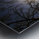 New York Statue of Liberty Metal print