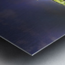 Prague Castle Metal print