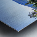 Store Alaska5L3A7515 Metal print