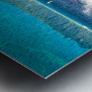 Store Alaska5L3A7688 Metal print