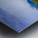 Store Alaska5L3A8469 Metal print