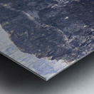 Store Alaska5L3A8025 Metal print