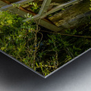 Store Victoria 5L3A8494 Metal print