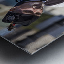 Store Victoria 5L3A8676 Metal print