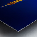 Store Paris 5L3A2857 Metal print