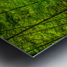 Store Munich  5L3A4085 Edit Metal print