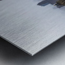 Store New York 5L3A0208 Metal print