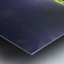 Store Prague 5L3A3965 Metal print