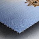 Store Rome 5L3A5357 Metal print