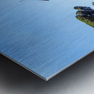 Store Rome 5L3A5011 Metal print