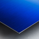 Store Florida 5L3A9416 Metal print