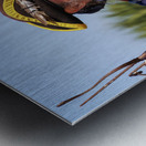 Store Florida 5L3A9374 Metal print