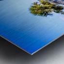 Store Florida 5L3A9392 Metal print