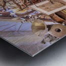 Store Florida 5L3A0350 Metal print