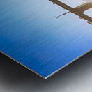 Store Florida 5L3A9303 Metal print