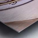 Store Florida 5L3A0380 Metal print