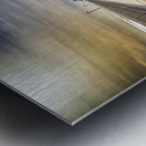 Store Florida 5L3A6606 Metal print