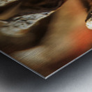 Store Georgia 5L3A0127 Metal print