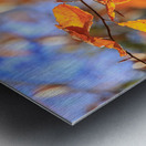 Store Georgia 5L3A0068 Impression metal