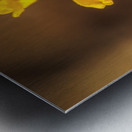 Store Georgia 5L3A0133 Metal print