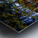 Store Georgia 5L3A9752 Metal print