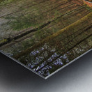 Store Georgia 5L3A5708 Metal print