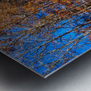 Store Georgia DSC 0626 Metal print