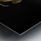 Store Macro 5L3A2811 Impression metal