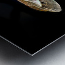 Store Macro 5L3A2775 Metal print