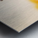 Store Macro 2024 06 16 Metal print