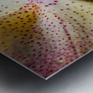 Store Macro 5L3A3617 Metal print