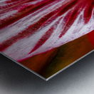 Store Macro 5L3A3662 Metal print