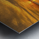 Sunset 8 Metal print
