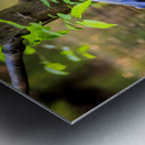 Store Vancouver 5L3A6854 Metal print