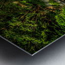 Store Vancouver 5L3A6951 Metal print