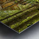 Store Vancouver 5L3A6895 Metal print