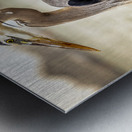 Store Key Biscayne AE2A9016 Impression metal