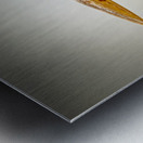 Store Key Biscayne AE2A9025 Metal print