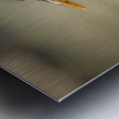 Store Key Biscayne AE2A9010 Metal print