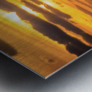 Store Dania Beach AE2A8665 Impression metal