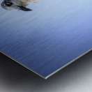 Store Dania Beach AE2A8868 Metal print