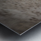 Store Dania Beach AE2A8947 Metal print