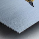 Store Dania Beach AE2A8779 Impression metal