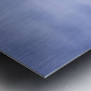 Store Dania Beach AE2A8885 Metal print