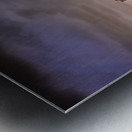 Miami Panorama night Metal print