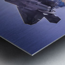 AirShow F22 AE2A5118 Metal print
