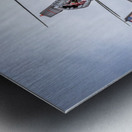 Store FLLAirShow AE2A3613 Metal print