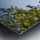 Holland E2A0159 Metal print