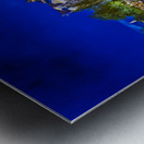 Holland E2A9896 Metal print