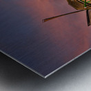 Holland E2A0220 Metal print